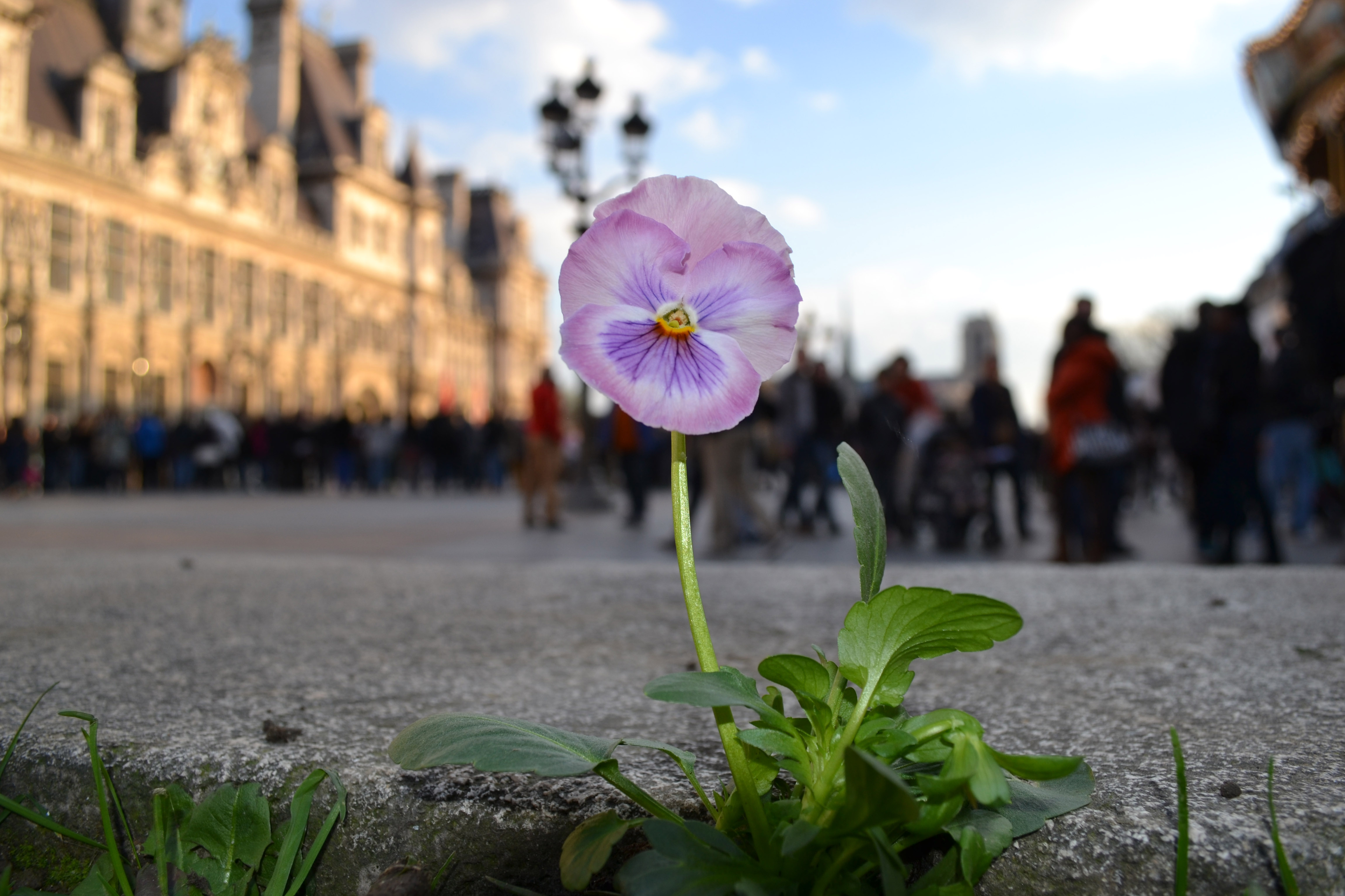 Everybody's Perfect: séquence scolaire 2