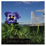 Soirée Totem: des pensées, des mimes, des dessins et du chant