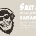 Soirée Totem: laisse-toi emporter par la musique